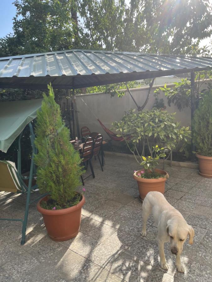 Cozy Space In Tbilisi Ngoại thất bức ảnh